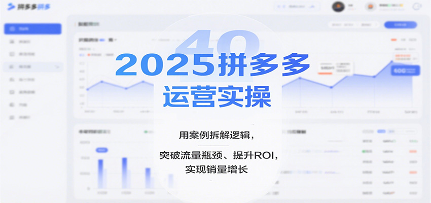 2025拼多多运营实操，用案例拆解逻辑，突破流量瓶颈、提升ROI，实现销量增长（更新）-网创猫