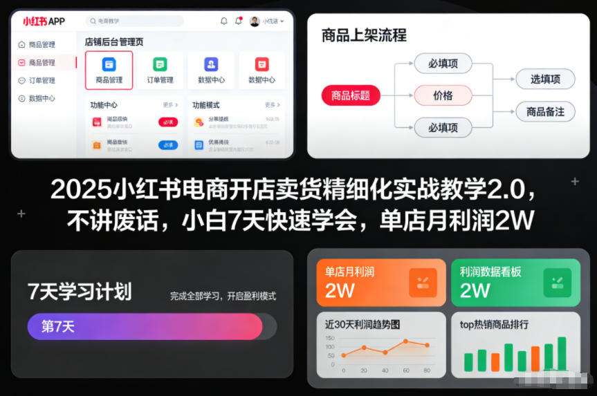 2025小红书电商开店卖货精细化实战教学2.0，不讲废话，小白7天快速学会，单店月利润2W-网创猫