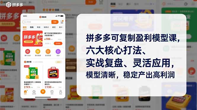 拼多多可复制盈利模型课，六大核心打法、实战复盘、灵活应用，模型清晰，稳定产出高利润-网创猫