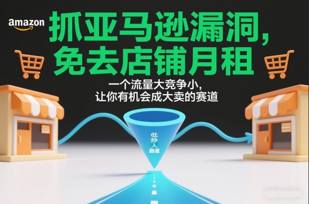 抓亚马逊漏洞，免去店铺月租，一个流量大竞争小，让你有机会成大卖的赛道-网创猫