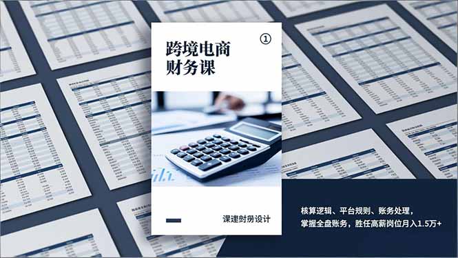 跨境电商财务课，核算逻辑、平台规则、账务处理，掌握全盘账务，胜任高薪岗位月入1.5万+-网创猫