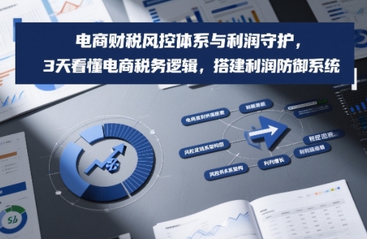 电商财税风控体系与利润守护，3天看懂电商税务逻辑，搭建利润防御系统-网创猫