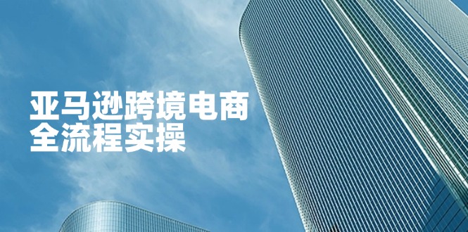 （14252期）亚马逊跨境电商全流程实操，教你从零开始，掌握店铺运营与广告技巧-网创猫