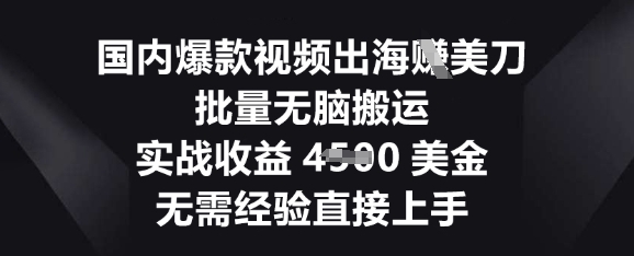 国内爆款视频出海挣美刀，批量无脑搬运，实战收益4.5k，无需经验直接上手-网创猫