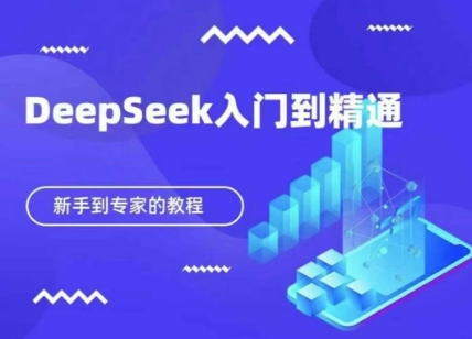 DeepSeek快速从入门到精通，新手的保姆级教程-网创猫