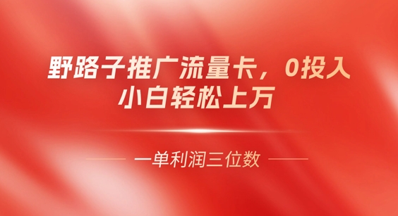 0门槛推广流量卡，一单收益上百，0投入，小白月入过W-网创猫