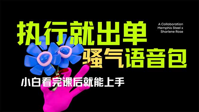 （14170期）爆火全网的开车导航骚气语音包,只要执行就出单，小白看完课程就能实操...-网创猫