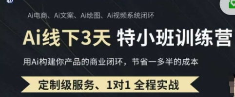 AI实操培训第20-21期线下，0基础保姆级教程，3月最新整理，企业获客、降本增效、打造超级个体-网创猫