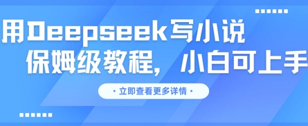 用Deepseek写小说，保姆级教程，小白可实操-网创猫