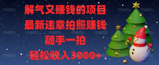 解气又挣钱的项目，最新违章拍照挣钱，随手一拍，轻松收入数张【揭秘】-网创猫